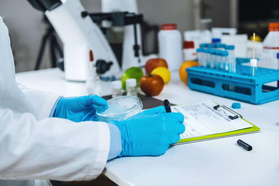 Food Auditing in the United States